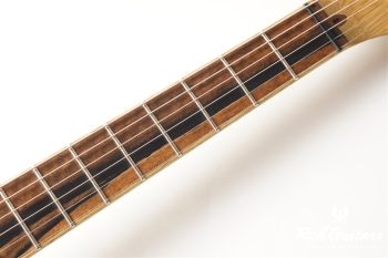 American Acoustasonic Telecaster Exotic Koa